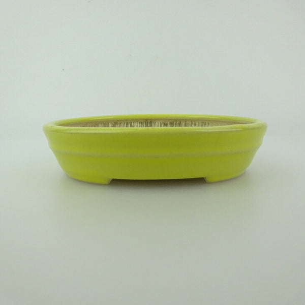 中古 盆栽鉢 青香 小型 長辺 約 12.1cm 楕円鉢 中帯 釉薬  中古鉢 s1198412536