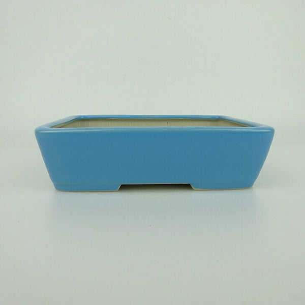 中古盆栽鉢 青香 小型 長辺 約 14.5cm 長方鉢 釉薬  中古鉢 n1198413161