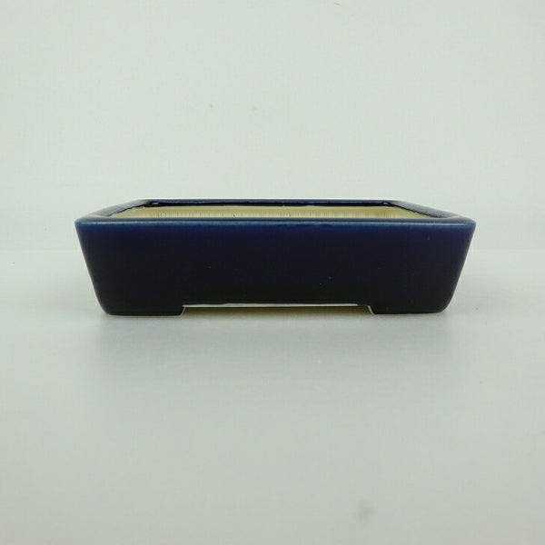 中古 盆栽鉢 青香 小型 長辺 約 12cm 長方鉢 釉薬  中古鉢 r1198404942