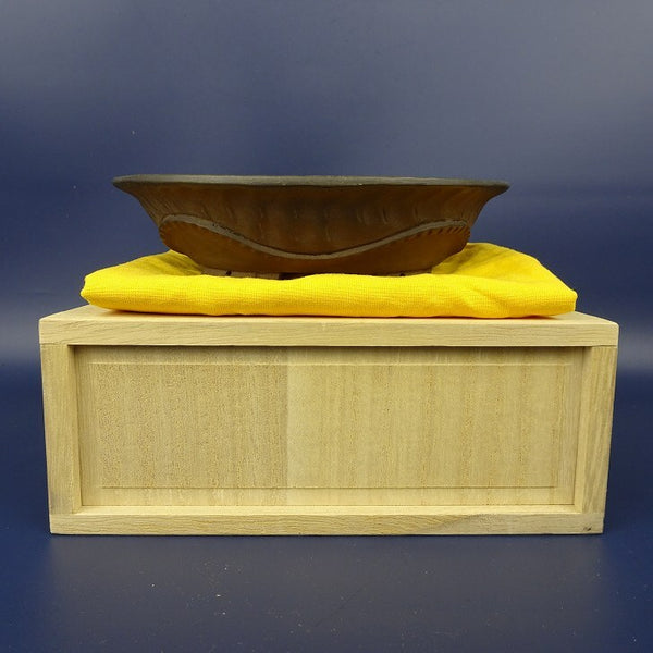 中古盆栽鉢 神戸 小型 長辺 約15cm 楕円鉢 泥鉢 箱付 布付  中古鉢 f1198409638
