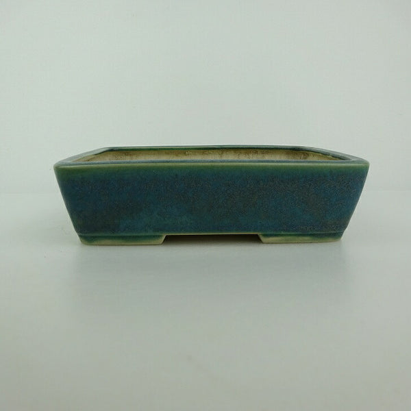 中古盆栽鉢 青香 小型 長辺 約 14.7cm 長方鉢 釉薬  中古鉢 q1198414676