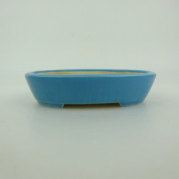 中古盆栽鉢 青香 小鉢 長辺 約10.1cm 楕円鉢 釉薬  中古鉢 v1198435628