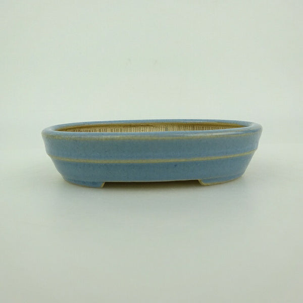中古盆栽鉢 青香 小鉢 長辺 約10cm 楕円鉢 中帯 釉薬  中古鉢 s1198412187