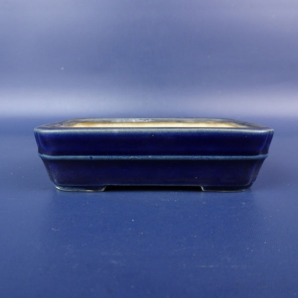 中古盆栽鉢 青香 小鉢 長辺 約 9.5cm 長方鉢 中帯 釉薬  中古鉢 g1198420167