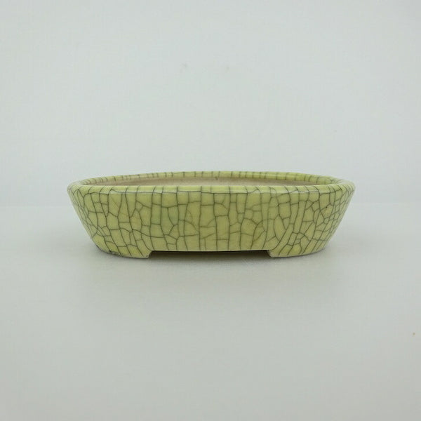 中古盆栽鉢 青香 小鉢 長辺 約10.2cm 楕円鉢 貫入 釉薬  中古鉢 s1198417563
