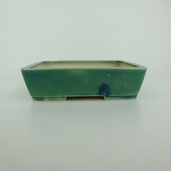 中古盆栽鉢 青香 小型 長辺 約 14.5cm 長方鉢 釉薬  中古鉢 m1198411507
