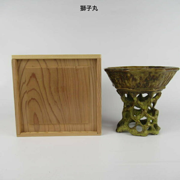 獅子丸 箱付き 八角 新品 根卓風 陶芸鑑賞 l1198412563