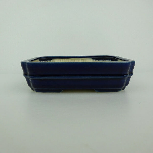 中古盆栽鉢 青香 小型 長辺 約 14.8cm 長方鉢 隅入 中帯 釉薬  中古鉢 e1198417500