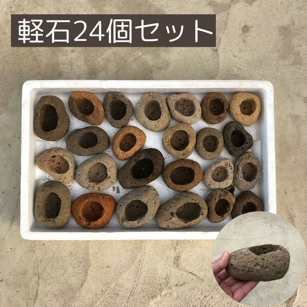 盆栽鉢 軽石 付石 盆栽 苔盆栽 テラリウム bonsai 山野草 セレクト 数量物 ２４個セット s1198411899