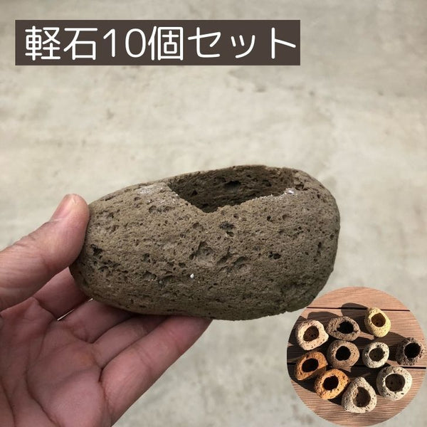 盆栽鉢 軽石 付石 盆栽 苔盆栽 テラリウム bonsai 山野草 セレクト 数量物 １０個セット k1198411677