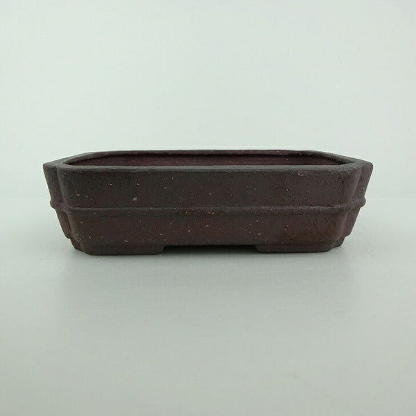 中古盆栽鉢 青香 小型 長辺 約 14.5cm 長方鉢 隅入 中帯 泥物  中古鉢 k1198415152
