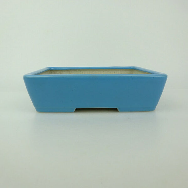 中古盆栽鉢 青香 小型 長辺 約 14.5cm 長方鉢 釉薬  中古鉢 h1198422094