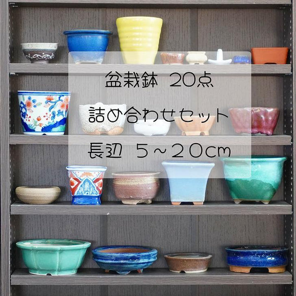 福袋 盆栽鉢 20点 詰め合わせ 小型 長辺 約5cm～20cm 中古鉢 w1198406886