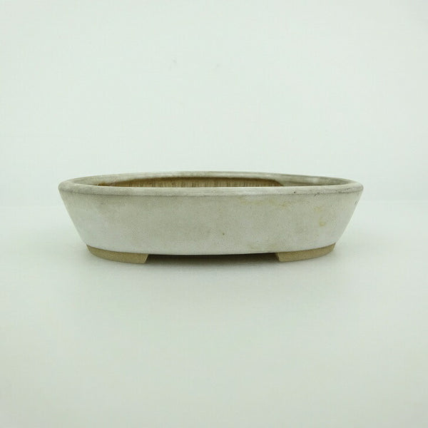 中古盆栽鉢 青香 小鉢 長辺 約10cm 楕円鉢 釉薬  中古鉢 c1198413503
