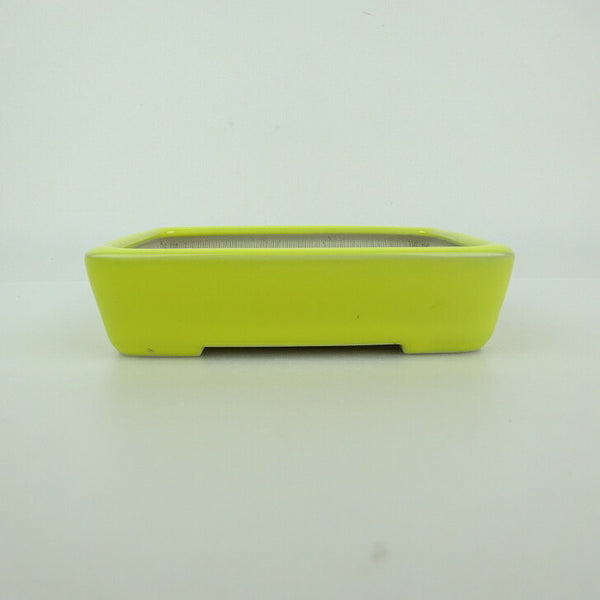 中古 盆栽鉢 青香 小型 長辺 約 12cm 長方鉢 釉薬  中古鉢 j1198410443