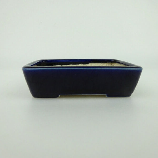 中古盆栽鉢 青香 小鉢 長辺 約9.5cm 長方鉢 釉薬  中古鉢 1198407610
