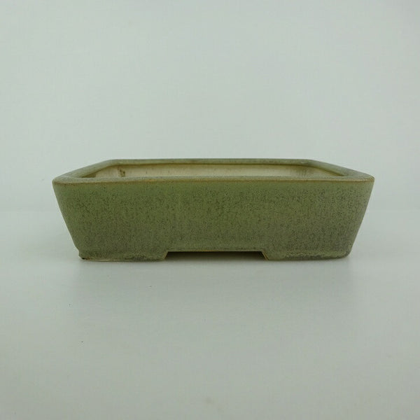 中古盆栽鉢 青香 小型 長辺 約 14.5cm 長方鉢 釉薬  中古鉢 b1198422014