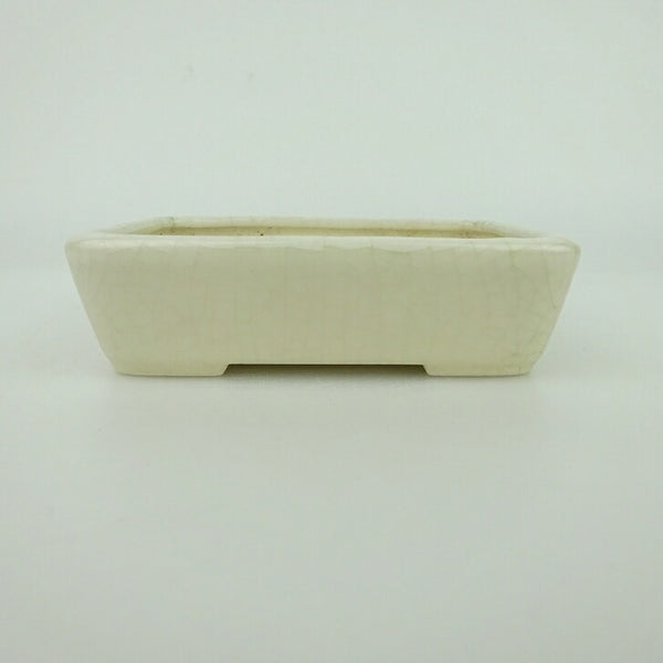 中古盆栽鉢 青香 小鉢 長辺 約9.5cm 長方鉢 釉薬  中古鉢 g1198419916