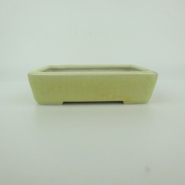 中古 盆栽鉢 青香 小型 長辺 約 12cm 長方鉢 釉薬  中古鉢 t1198410177