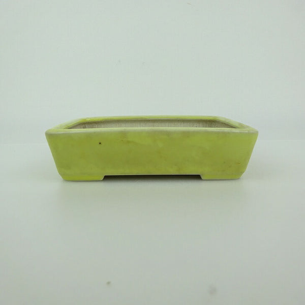 中古 盆栽鉢 青香 小型 長辺 約 12cm 長方鉢 釉薬  中古鉢 w1198415551
