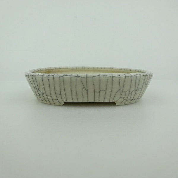 中古盆栽鉢 青香 小鉢 長辺 約10.1cm 楕円鉢 貫入 釉薬  中古鉢 k1198407791