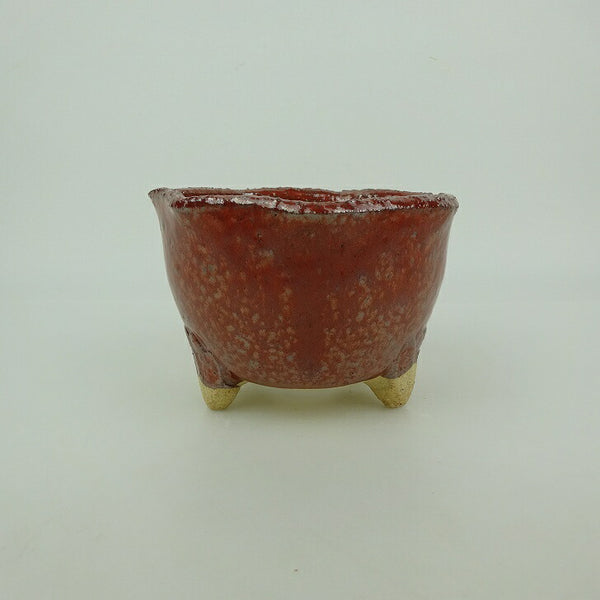 盆栽鉢 信楽焼 小型 長辺 約11.1cm 丸鉢 信楽 楽風 鉢 釉薬 観賞用  新品 j1199266695