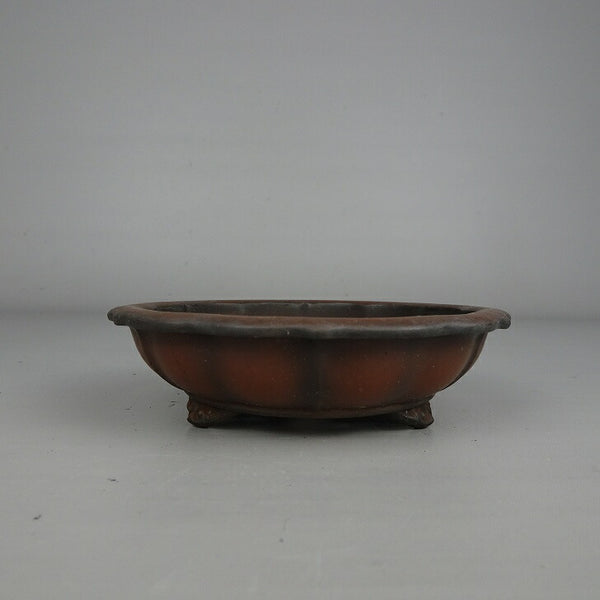 中古 盆栽鉢 峰輝堂造 小型 長辺 約 10.5cm 輪花鉢 外縁 雲足 泥物  中古鉢 q1199274187