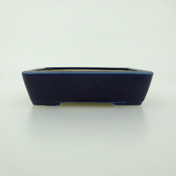 中古 盆栽鉢 青香 小鉢 長辺 約9.3cm 長方鉢 釉薬  中古鉢 l1199283852