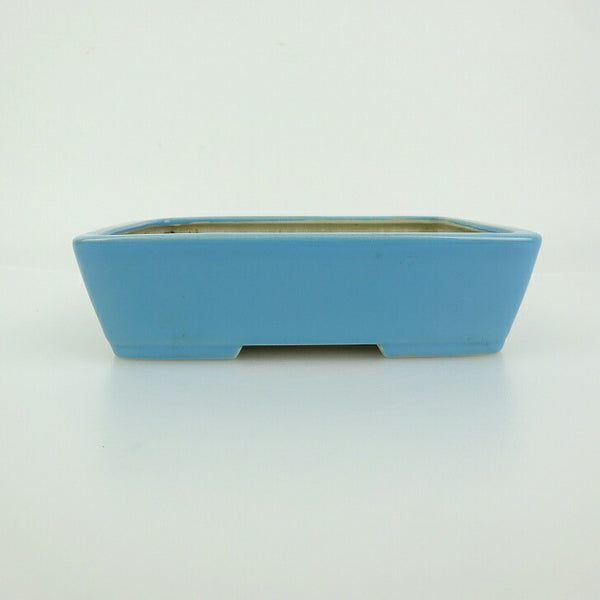 中古 盆栽鉢 青香 小型 長辺 約 14.4cm 長方鉢 釉薬  中古鉢 g1200188033