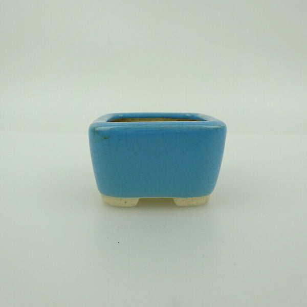 中古 盆栽鉢 青香 豆鉢 長辺 約4.5cm 正方鉢 釉薬  中古鉢 w1200181765