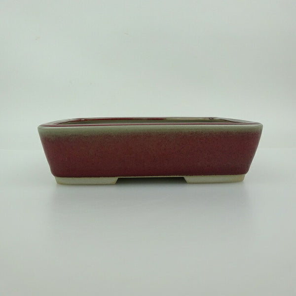 中古 盆栽鉢 青香 小型 長辺 約 14.7cm 長方鉢 釉薬  中古鉢 e1200179238