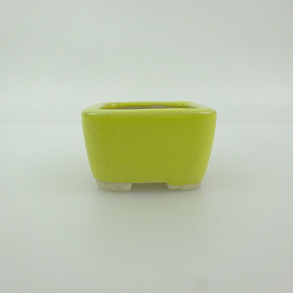 中古 盆栽鉢 青香 豆鉢 長辺 約4.4cm 正方鉢 釉薬  中古鉢 g1200269386