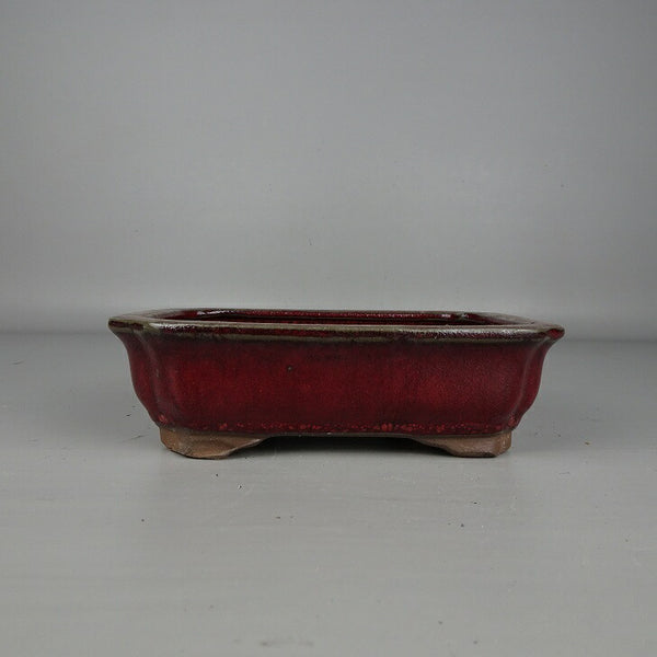 盆栽鉢 落款なし 小型 長辺 約 16cm 長方鉢 隅入 釉薬 中国鉢 新品 数量物 l1200262233