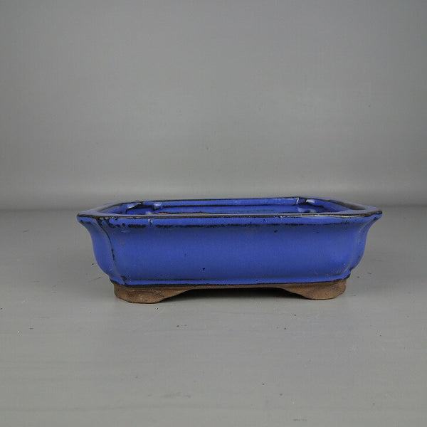 盆栽鉢 落款なし 小型 長辺 約 16.5cm 長方鉢 外縁 隅入 釉薬 中国鉢 新品 数量物 w1200259830