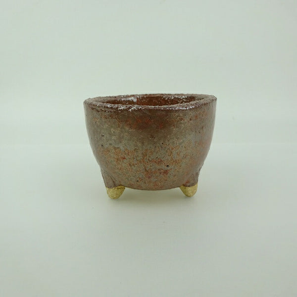 盆栽鉢 信楽焼 小鉢 長辺 約7.5cm 丸鉢 信楽 楽風 鉢 釉薬 鑑賞用 観賞用  新品 u1200305270