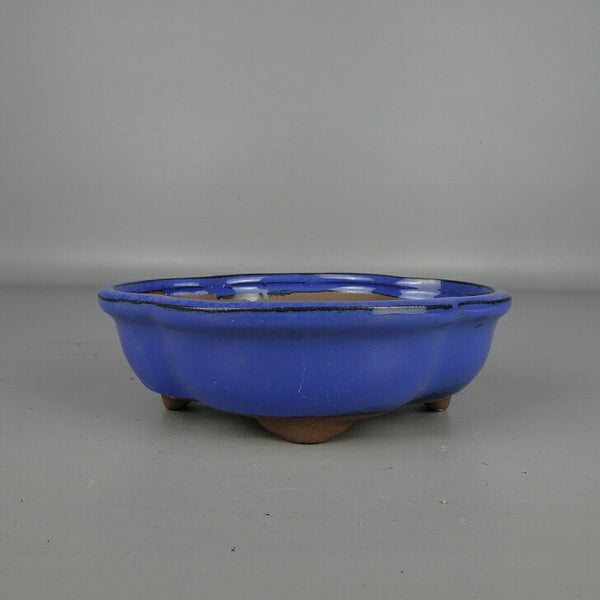 盆栽鉢 落款なし 小型 長辺 約 16cm 木瓜鉢 外縁 釉薬 中国鉢 新品 数量物 u1200309600