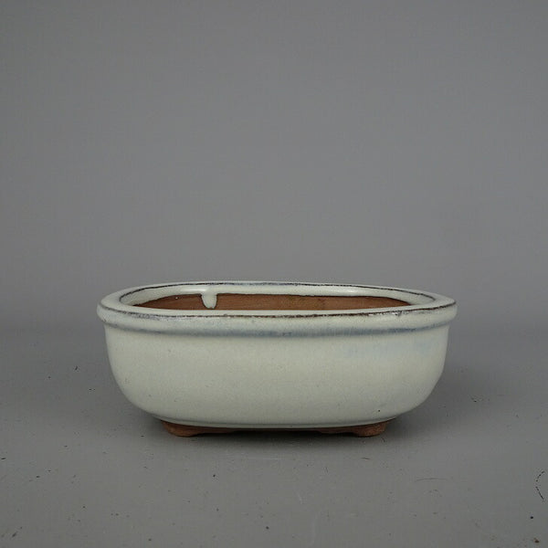 盆栽鉢 落款なし 小型 長辺 約 12.5cm 楕円鉢 釉薬 中国鉢 新品 数量物 o1200301177