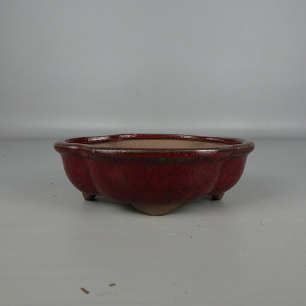 盆栽鉢 落款なし 小型 長辺 約 16cm 木瓜鉢 外縁 釉薬 中国鉢 新品 数量物 d1200300330