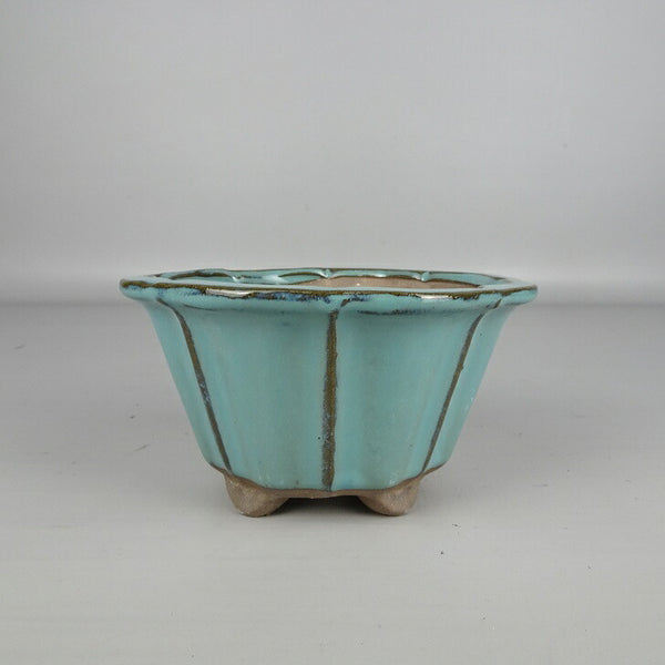 盆栽鉢 落款なし 小型 長辺 約 13cm 輪花鉢 外縁 釉薬 中国鉢 新品 数量物 n1200289871