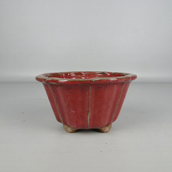 盆栽鉢 落款なし 小型 長辺 約 13cm 輪花鉢 外縁 釉薬 中国鉢 新品 数量物 e1200291762