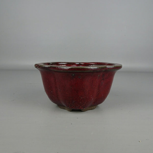 盆栽鉢 落款なし 小型 長辺 約 13cm 花形鉢 外縁 釉薬 中国鉢 新品 数量物 k1200289267