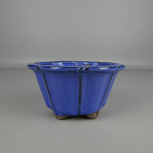 盆栽鉢 落款なし 小型 長辺 約 13cm 輪花鉢 外縁 釉薬 中国鉢 新品 数量物 b1200300457