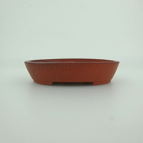 盆栽鉢 青香 小型 長辺 約9.7cm 楕円鉢 泥物 l1200294803