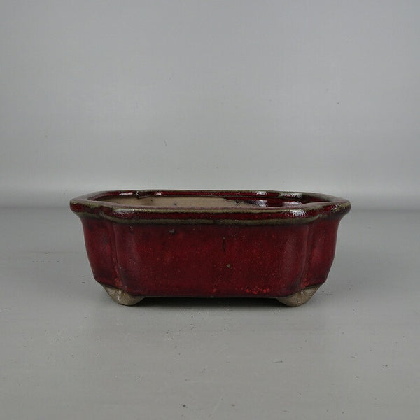 盆栽鉢 落款なし 小型 長辺 約 16cm 長方鉢 外縁 隅入 釉薬 中国鉢 新品 数量物 j1200293327