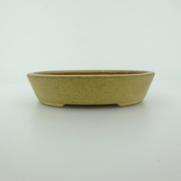 盆栽鉢 青香 小型 長辺 約11.9cm 楕円鉢 釉薬 b1200296725