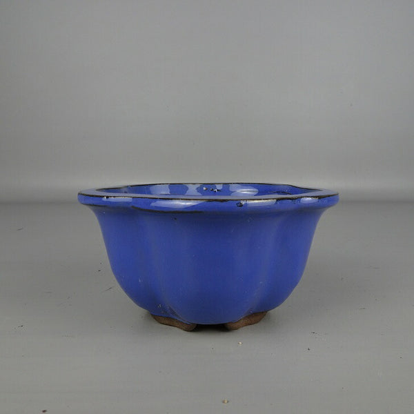 盆栽鉢 落款なし 小型 長辺 約 13cm 花形鉢 外縁 釉薬 中国鉢 新品 数量物 s1200303151