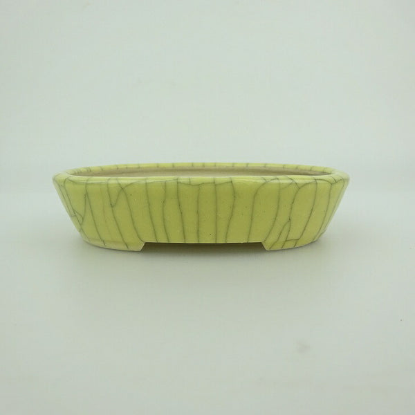 盆栽鉢 青香 小型 長辺 約10cm 楕円鉢 貫入 釉薬 t1200297112
