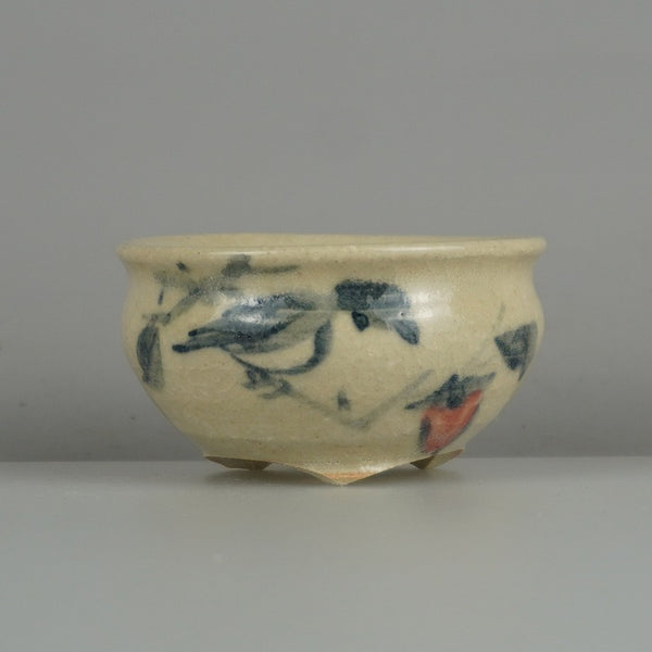 盆栽鉢 是好 矩 小鉢 長辺 約 6.6cm 丸鉢 色絵 鳥 柿 木の実 植物 鑑賞 観賞用  新品 w1200648425