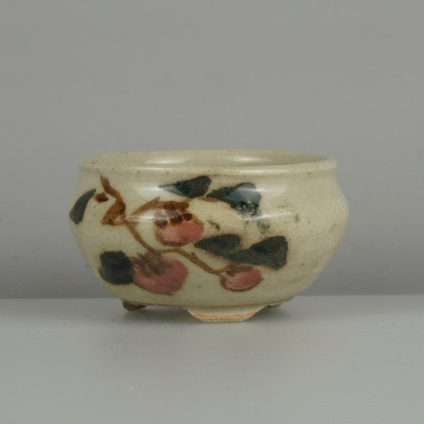 盆栽鉢 是好 矩 小鉢 長辺 約 6.7cm 丸鉢 色絵 実 木の実 植物 鑑賞 観賞用  新品 t1200649859