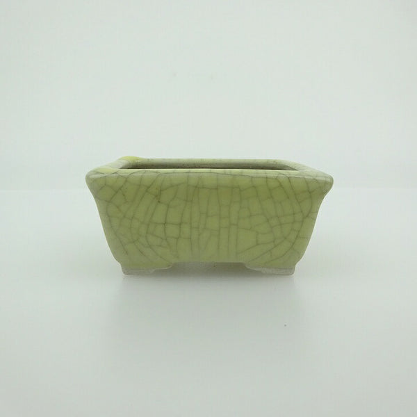 盆栽鉢 青香 小鉢 長辺 約5.8cm 長方鉢 貫入 縁付 釉薬 v1200813716